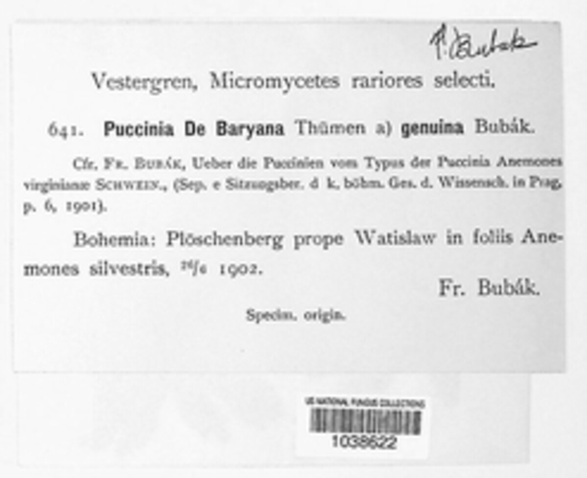 Puccinia debaryana image